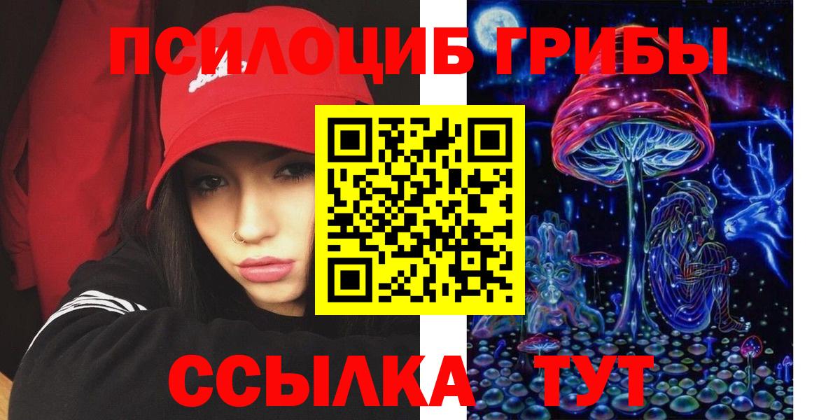 Галлюциногенные грибы Psilocybine cubensis Братск